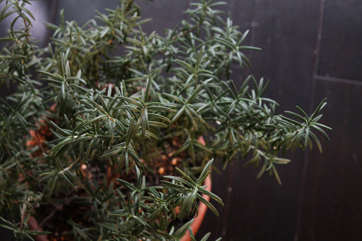 SASAYAMA_BLOG_2013.11.20-03